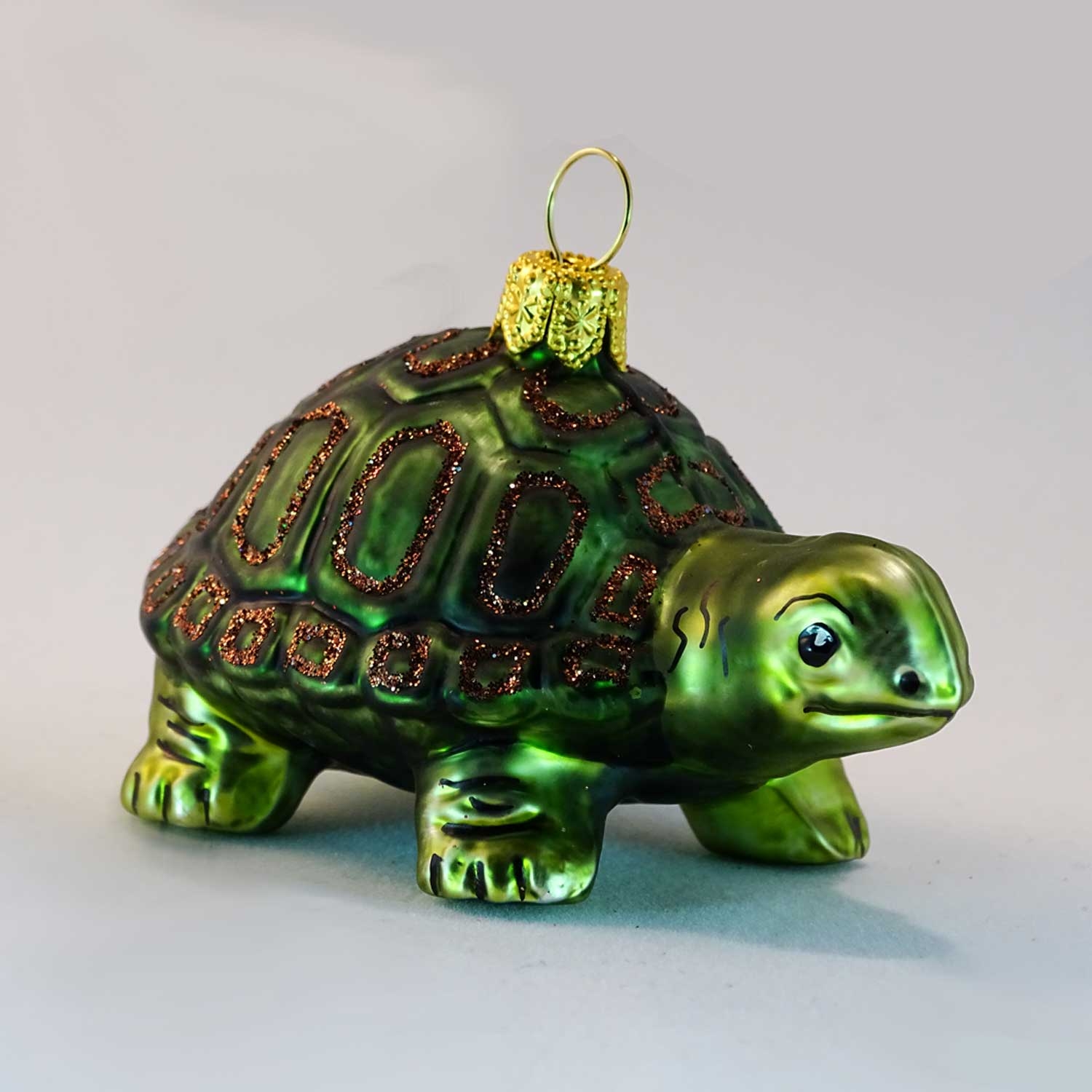 Schildkröte 